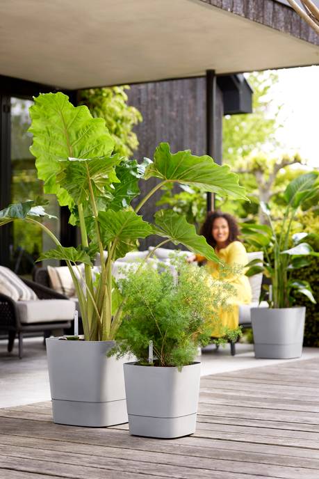 greensense aqua care square 38cm light concrete